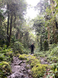 Tour a la cascada la pastora o cascada los chorros (pasadía)