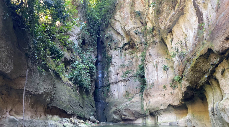 Tour a la Represa Prado, Pasadía Mediano (precio para grupos de 10 personas)