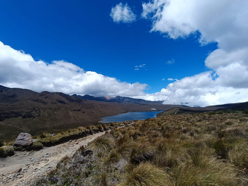 Tour Laguna del Otún Pasadía (Valor para grupo mínimo 4 personas)