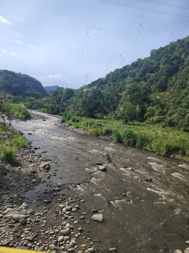 Tour Estación Pereira (Pasadía)