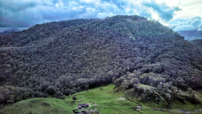 Tour al Volcán Machín