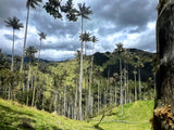 Tour al Volcán Machín