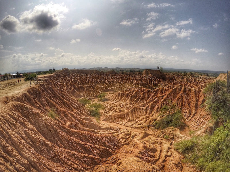 Tour desiero de la Tatacoa (Pasadía )