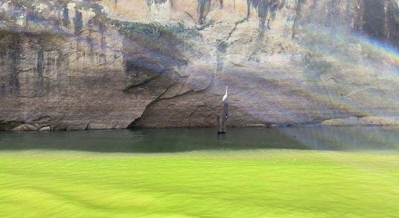 Tour a la Represa Prado, Pasadía Mediano (precio para grupos de 10 personas)