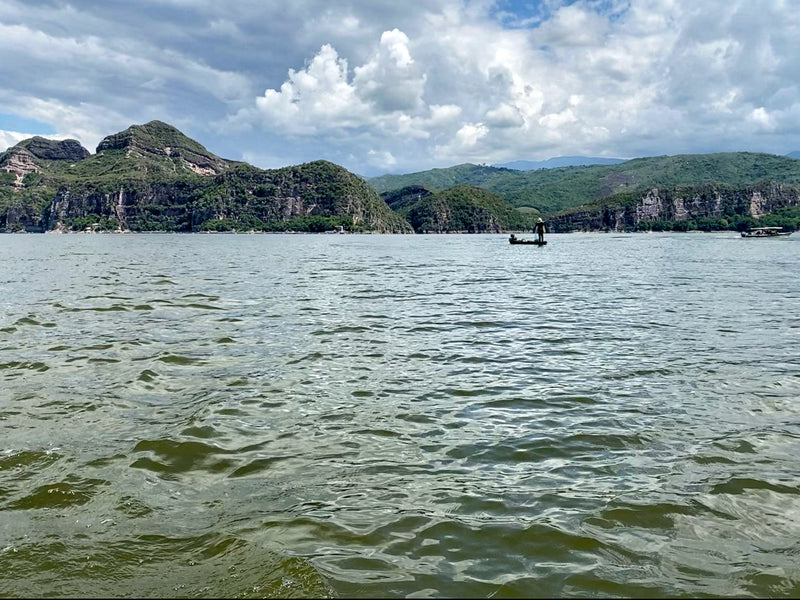 Tour a la Represa Prado, Pasadía Mediano (precio para grupos de 10 personas)