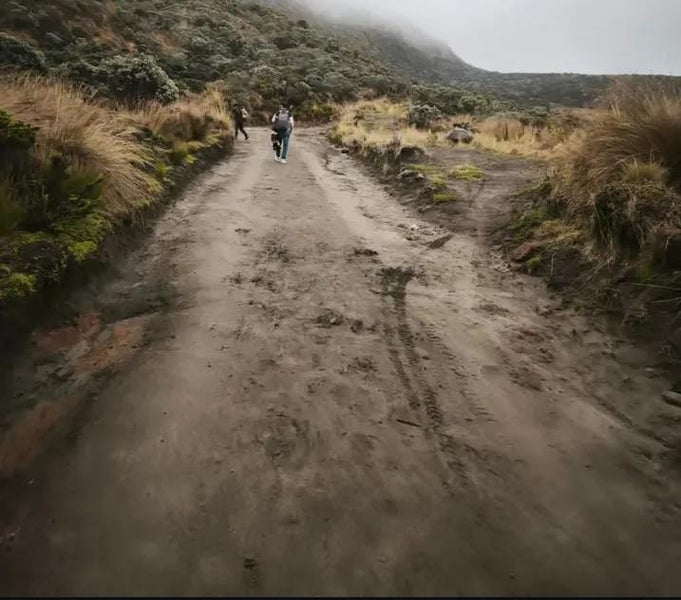 Otún Lagoon Tour (Day Trip)