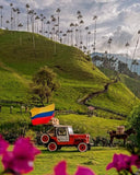 TOUR SALENTO, VALLE DEL COCORA Y FILANDIA