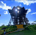 Salento, Valle del Cocora y Filandia (Pasadía)