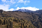 nevado del ruiz