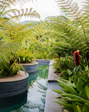 Tour Nevado del Ruiz, Pasadia