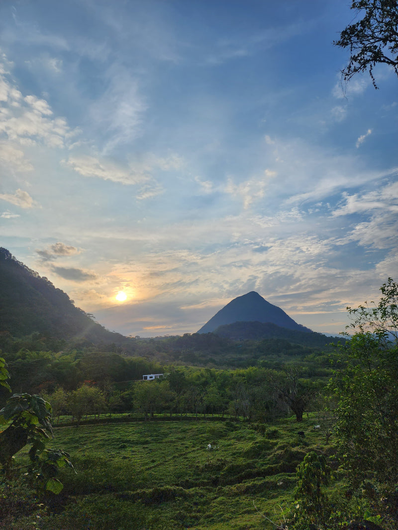 Tour a Cerro Tusa en Venecia Antioquia
