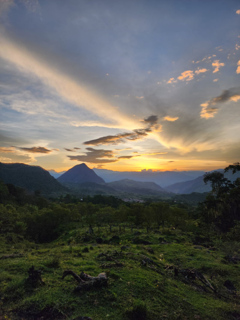 Tour a Cerro Tusa en Venecia Antioquia