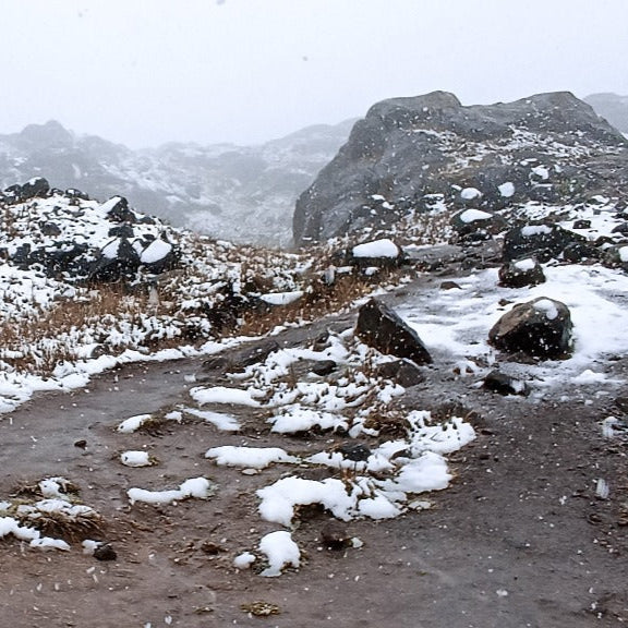 Nevado Santa Isabel sendero cambio climatico (Pasadia)