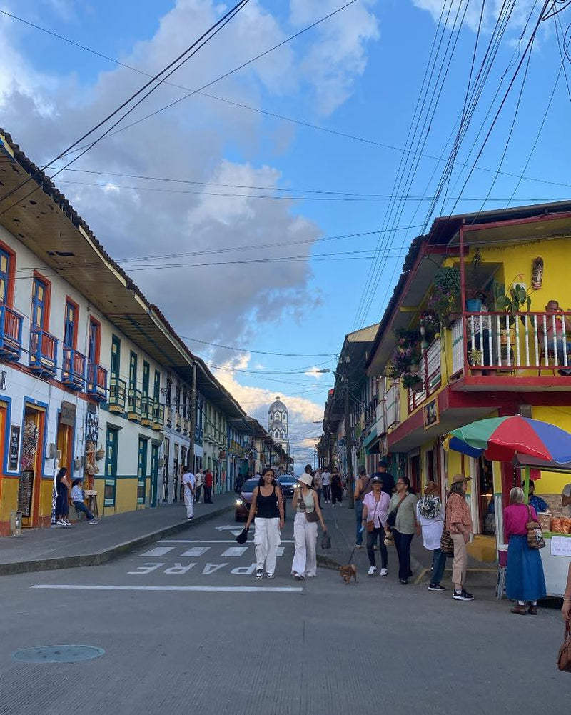 Salento, Valle del Cocora y Filandia (Pasadía)