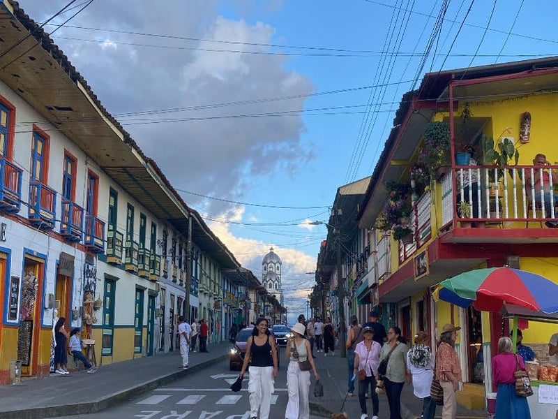 Salento, Cocora Valley & Filandia (Day Trip)