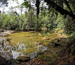 Tour to La Pastora (Price for more than 8 people)