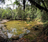 Tour to La Pastora (Price for more than 8 people)