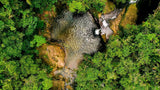 Tour to La Pastora (Price for more than 8 people)