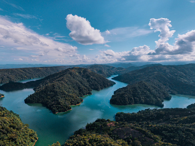 Tour a Norcasia (Pasadía)