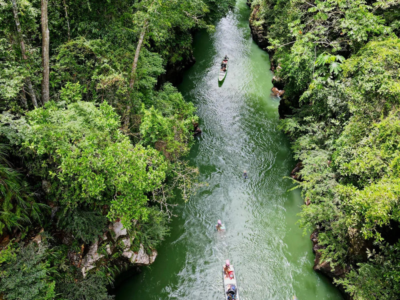 Tour a Norcasia (Pasadía)