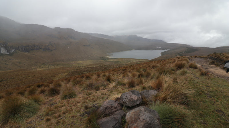 Tour Laguna del Otún Pasadía (Valor para grupo mínimo 4 personas)