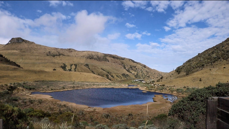 Laguna negra-nevado del ruiz